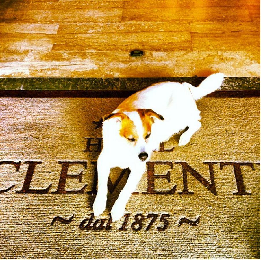 Hotel Clementi Саличе Терме Екстериор снимка